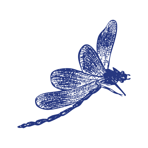 Libellule bleu foncée dessinée à la main pour illustrer Le Pas de côté