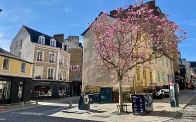 Que faire à Rennes aujourd’hui ? Une idée simple pour voir la ville autrement